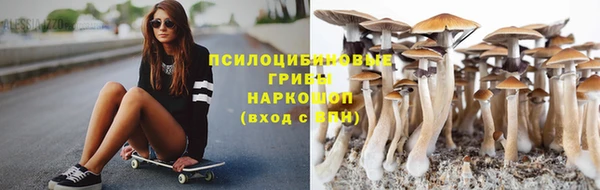 гидра Арсеньев