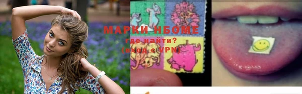 гидра Арсеньев
